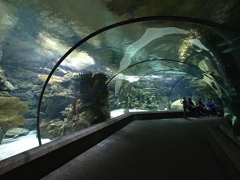 Aquarium tunnel at the Henry Doorly Zoo in Nebraska