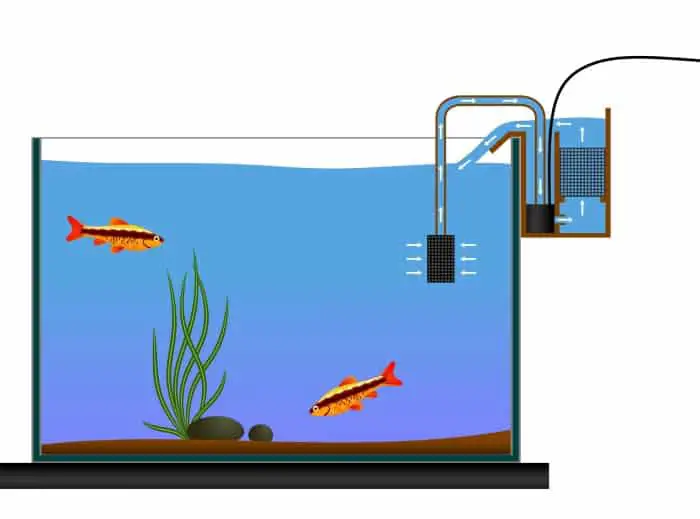 fish tank water flow in a HOB style filter