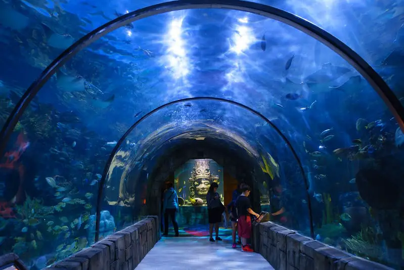 Aquarium tunnel at the Audubon Aquarium of the Americas