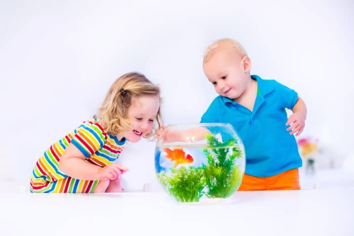 2 young children smiling at goldfish