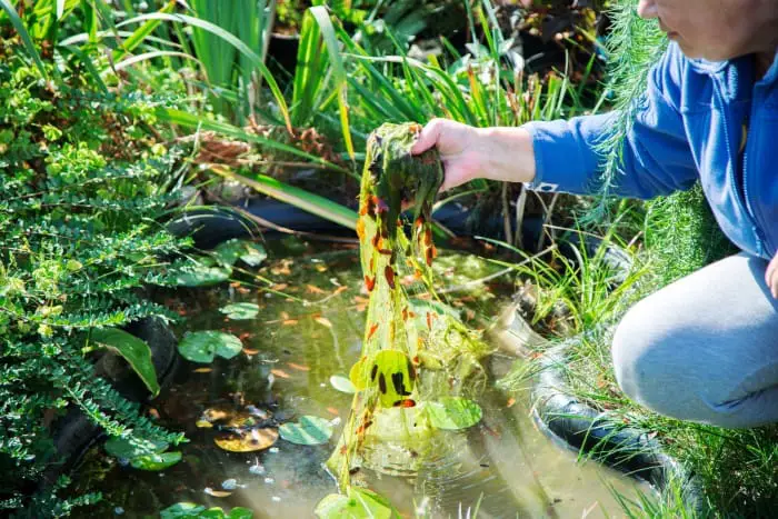 woman holding pond weeds over dirty pond