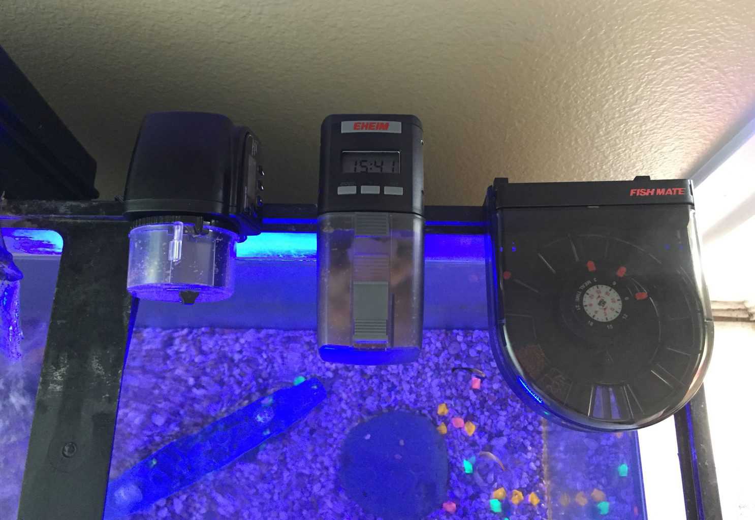 Choosing the Best Automatic Fish Feeder 2021 Picks!