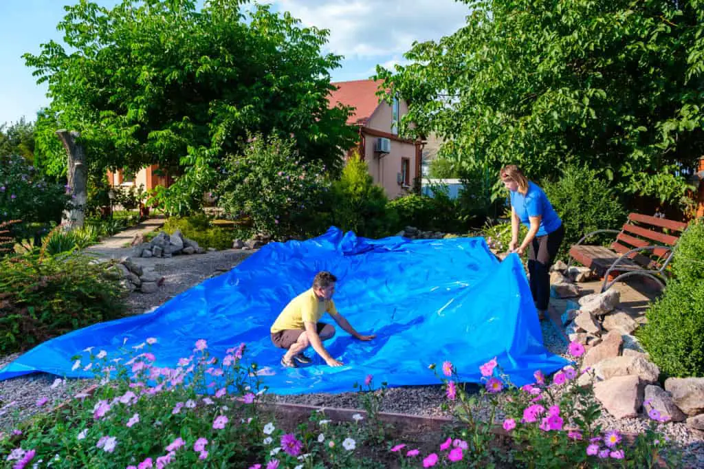 two people laying out a blue pond liner